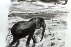 2_Dessin-2023-202425