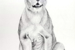 2_Dessin-2023-202428