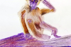 2_Dessin-2023-202430