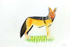 2_Dessin-2023-202431