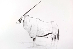 2_Dessin-2023-202437