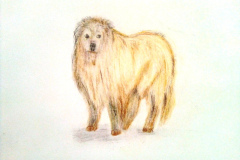 2_Dessin-2023-202443