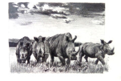 Dessin-2023-2024119c