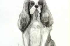 1_Dessin-Jeunes-2023-202401