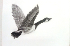 1_Dessin-Jeunes-2023-202402