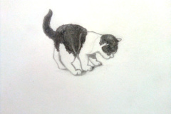 1_Dessin-Jeunes-2023-202404