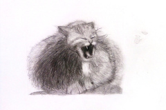 1_Dessin-Jeunes-2023-202406