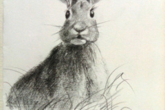 1_Dessin-Jeunes-2023-202410