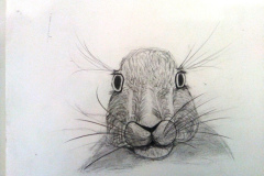 1_Dessin-Jeunes-2023-202411