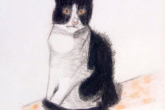 1_Dessin-Jeunes-2023-202414