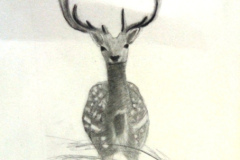 1_Dessin-Jeunes-2023-202416