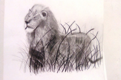 1_Dessin-Jeunes-2023-202426