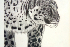 1_Dessin-Jeunes-2023-202427