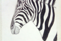 1_Dessin-Jeunes-2023-202430