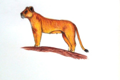 1_Dessin-Jeunes-2023-202436