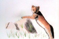 1_Dessin-Jeunes-2023-202440