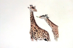 1_Dessin-Jeunes-2023-202441