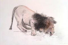 2_Dessin-Jeunes-2023-202402