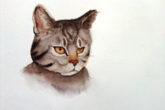 2_Dessin-Jeunes-2023-202404