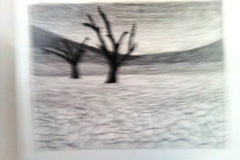 2_Dessin-Jeunes-2023-202413