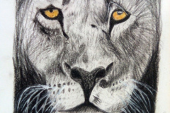 2_Dessin-Jeunes-2023-202415