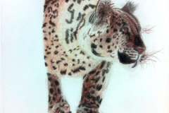 2_Dessin-Jeunes-2023-202419