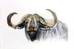 3_Dessin-Jeunes-2023-202401