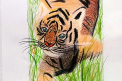 3_Dessin-Jeunes-2023-202411