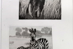 3_Dessin-Jeunes-2023-202413