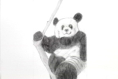 3_Dessin-Jeunes-2023-202418