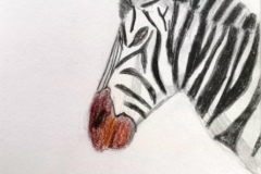 3_Dessin-Jeunes-2023-202419