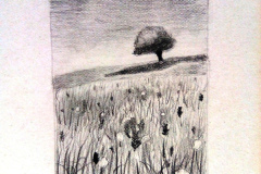 Dessin-Jeunes-2023-202401