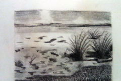 Dessin-Jeunes-2023-202414