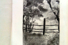 Dessin-Jeunes-2023-202415