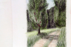 Dessin-Jeunes-2023-202418