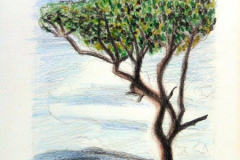 Dessin-Jeunes-2023-202423