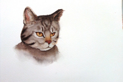 Dessin-Jeunes-2023-202428