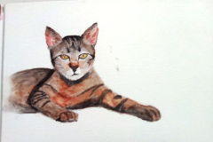 Dessin-Jeunes-2023-202429