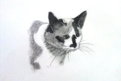 Dessin-Jeunes-2023-202431