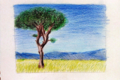 Dessin-Jeunes-2023-202436