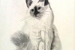 Dessin-Jeunes-2023-202439