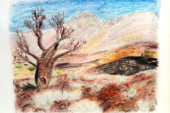 Dessin-Jeunes-2023-202441