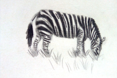 Dessin-Jeunes-2023-202447