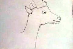 Dessin-jeunes-2023-20240102