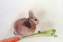 Dessin-jeunes-2023-20240103