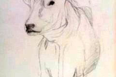 Dessin-jeunes-2023-20240104