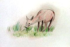 Dessin-jeunes-2023-20240108