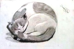 Dessin-jeunes-2023-20240111