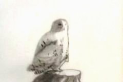 Dessin-jeunes-2023-20240113