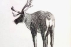 Dessin-jeunes-2023-20240114